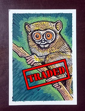 Tarsius_Tarsier_small.jpg