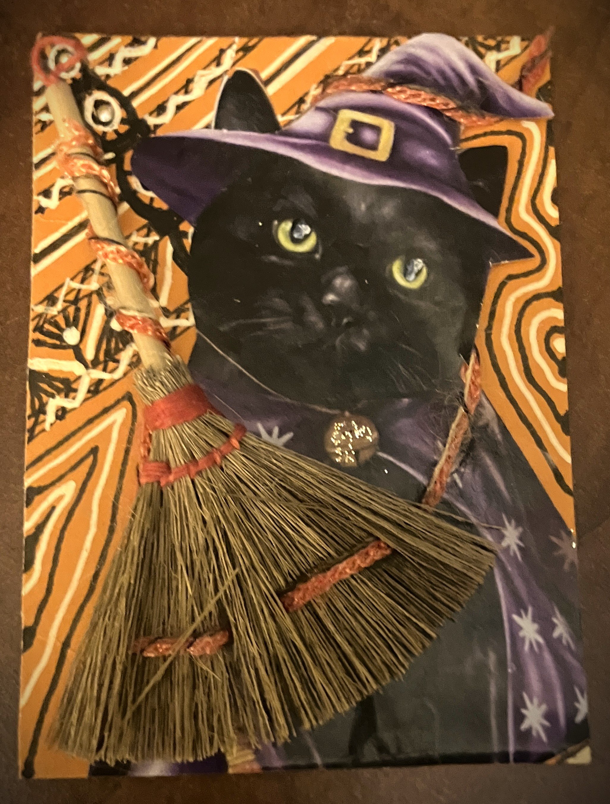 The Cat is a Witch.JPG