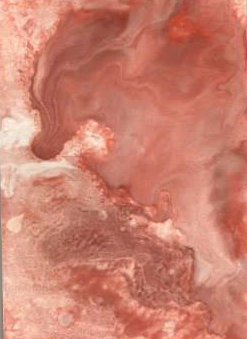 The Dragon & The Fairy