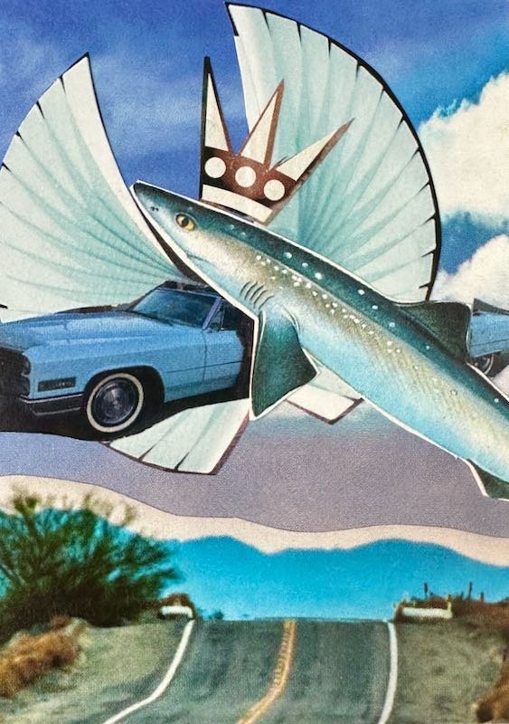 The Fish Who Drove a Cadillac