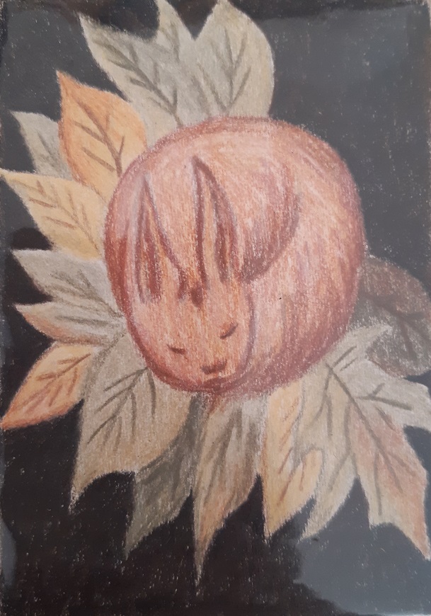 The year of the rabbit: Fall