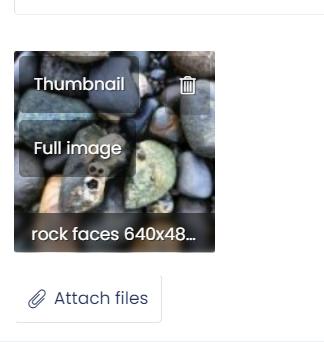 Thumbnail vs Full Image choice when attaching