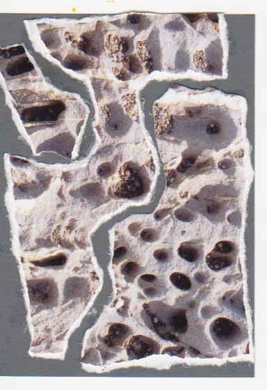 Torn Photo ATC Swap