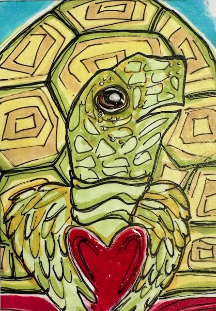Tortoise Love