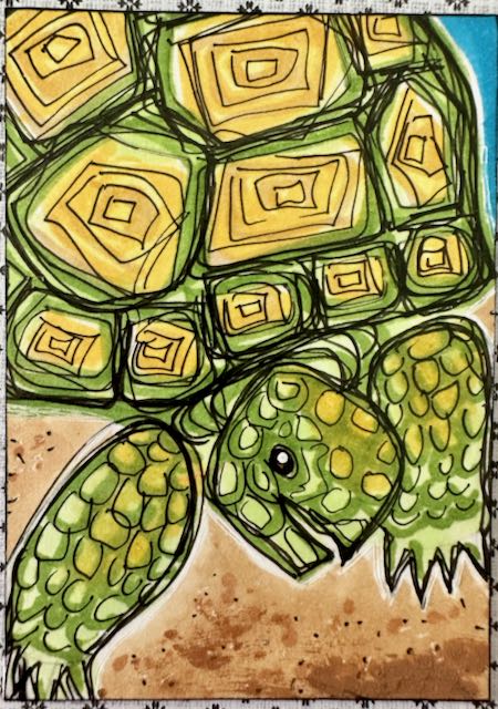 Tortoises: Jamie McJamerton