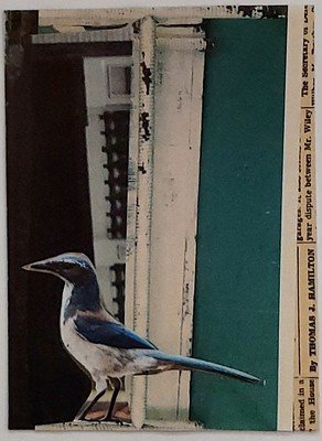 Traded AT THE AVIARY