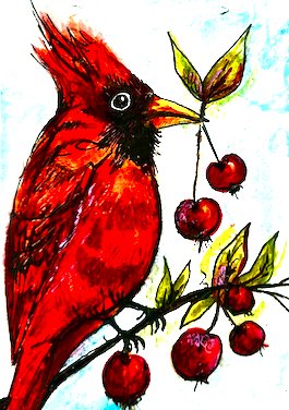 Traded~ Cardinal with Cherries