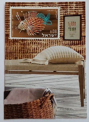 Traded INDO-PACIFIC VIBE