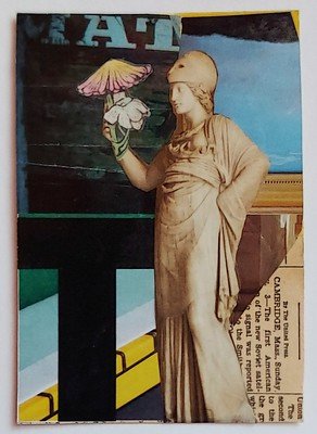 Traded MADAME CHAMPIGNON