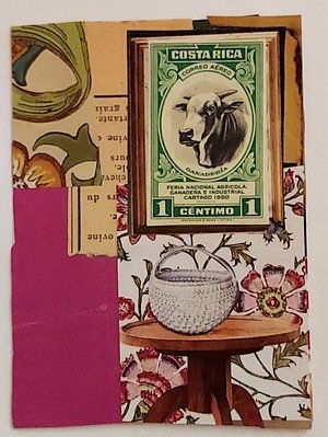 Traded ROOM WITH A MOO