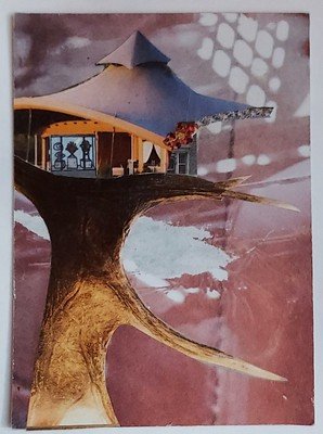 Traded STAGHORN TREEHOUSE