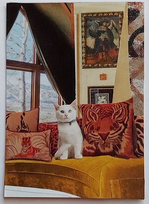 Traded THE INNER WILD