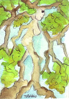 Tree Woman