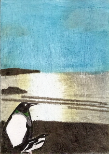 Tropical Penguins