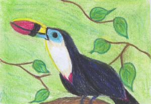 Tucan