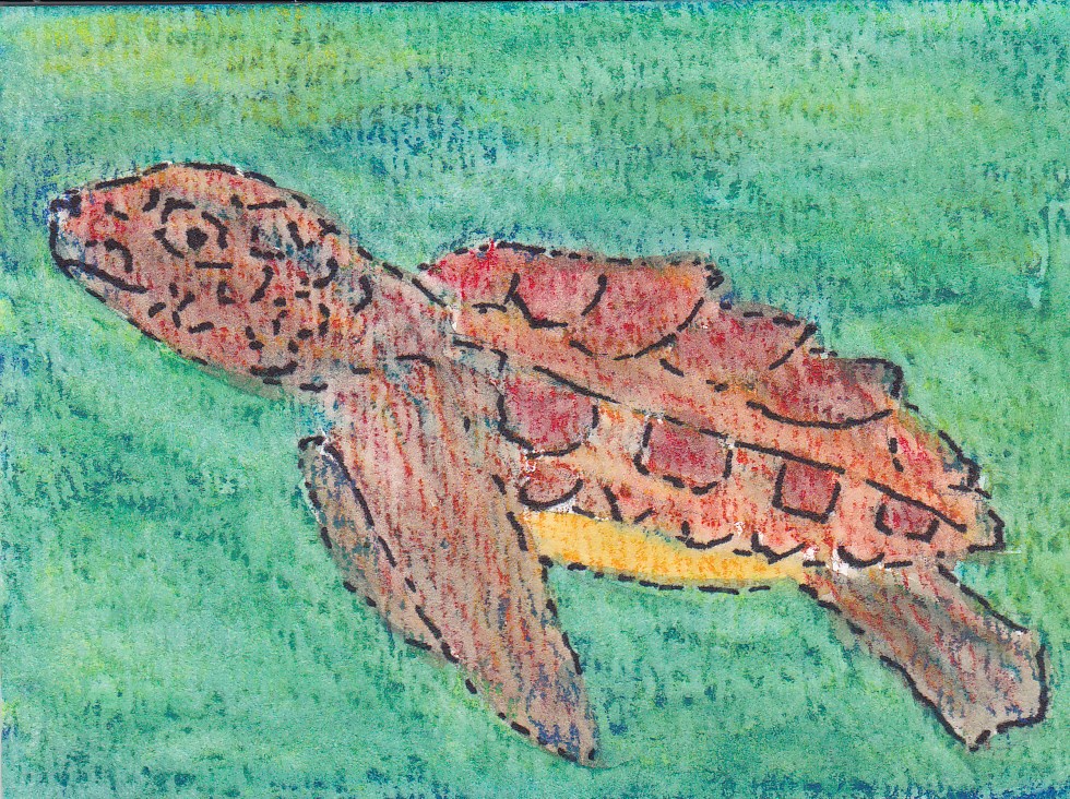 Turtle Time Swap Cards