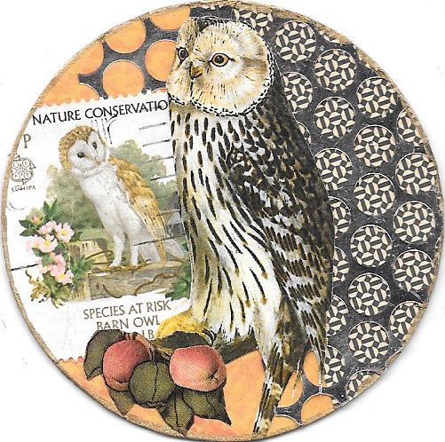 Two Owls & Species at Risk