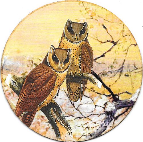 Two Owls & Species at Risk