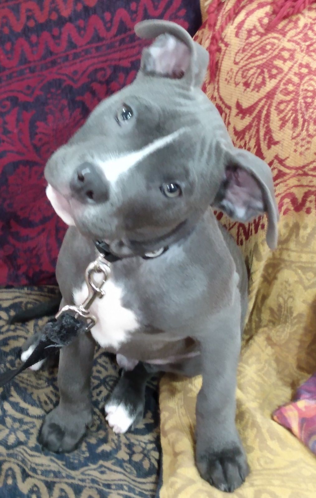 Tyson
