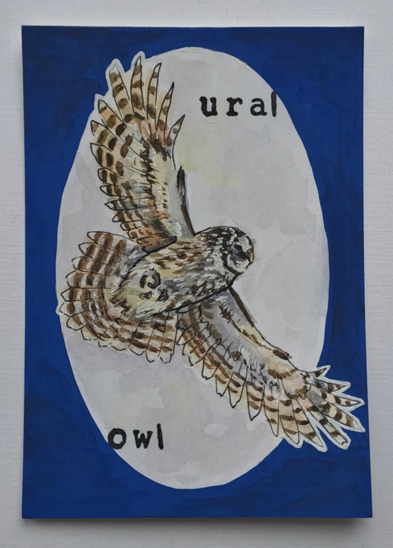 Ural owl