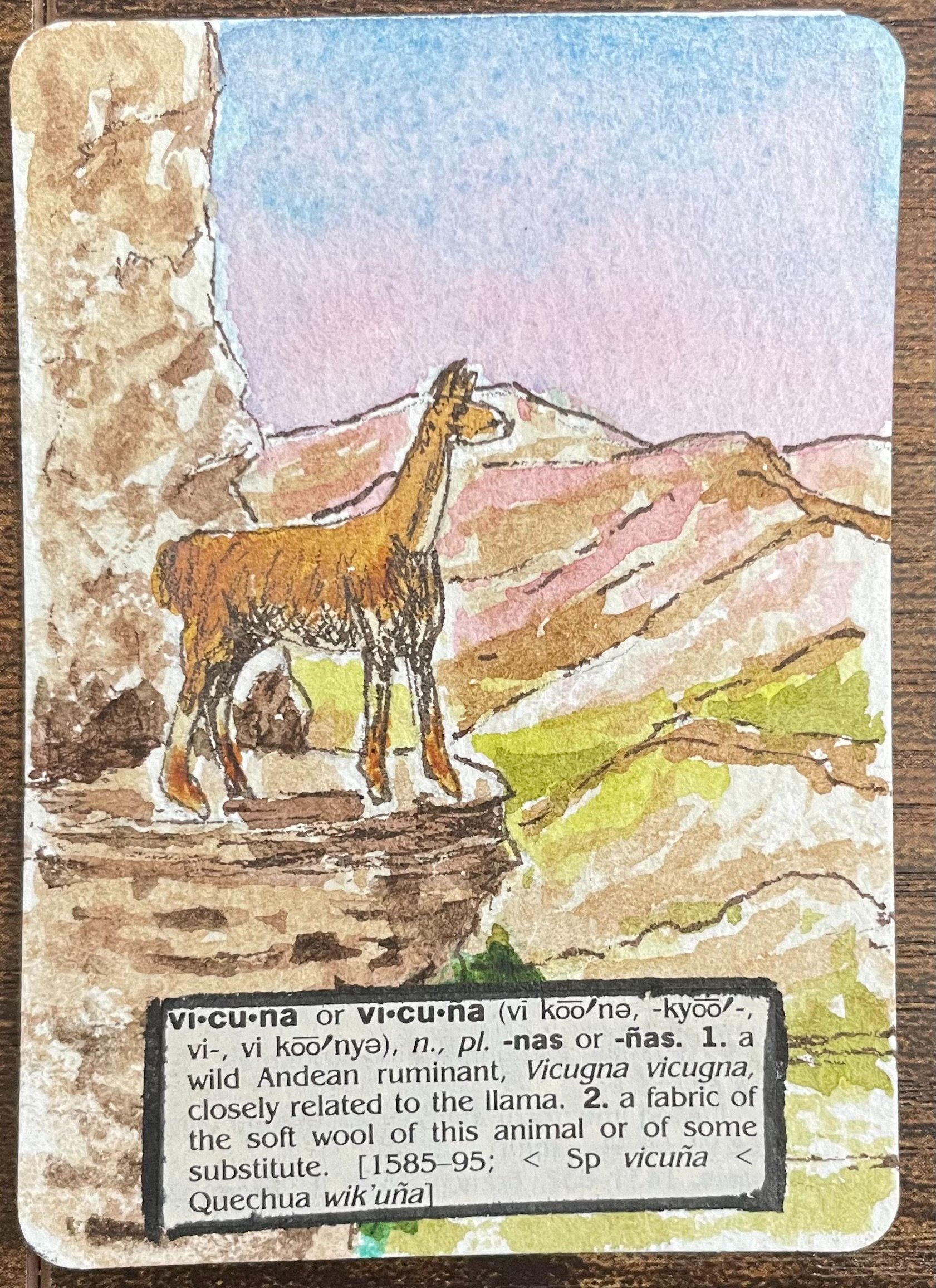 Vicuna.jpg