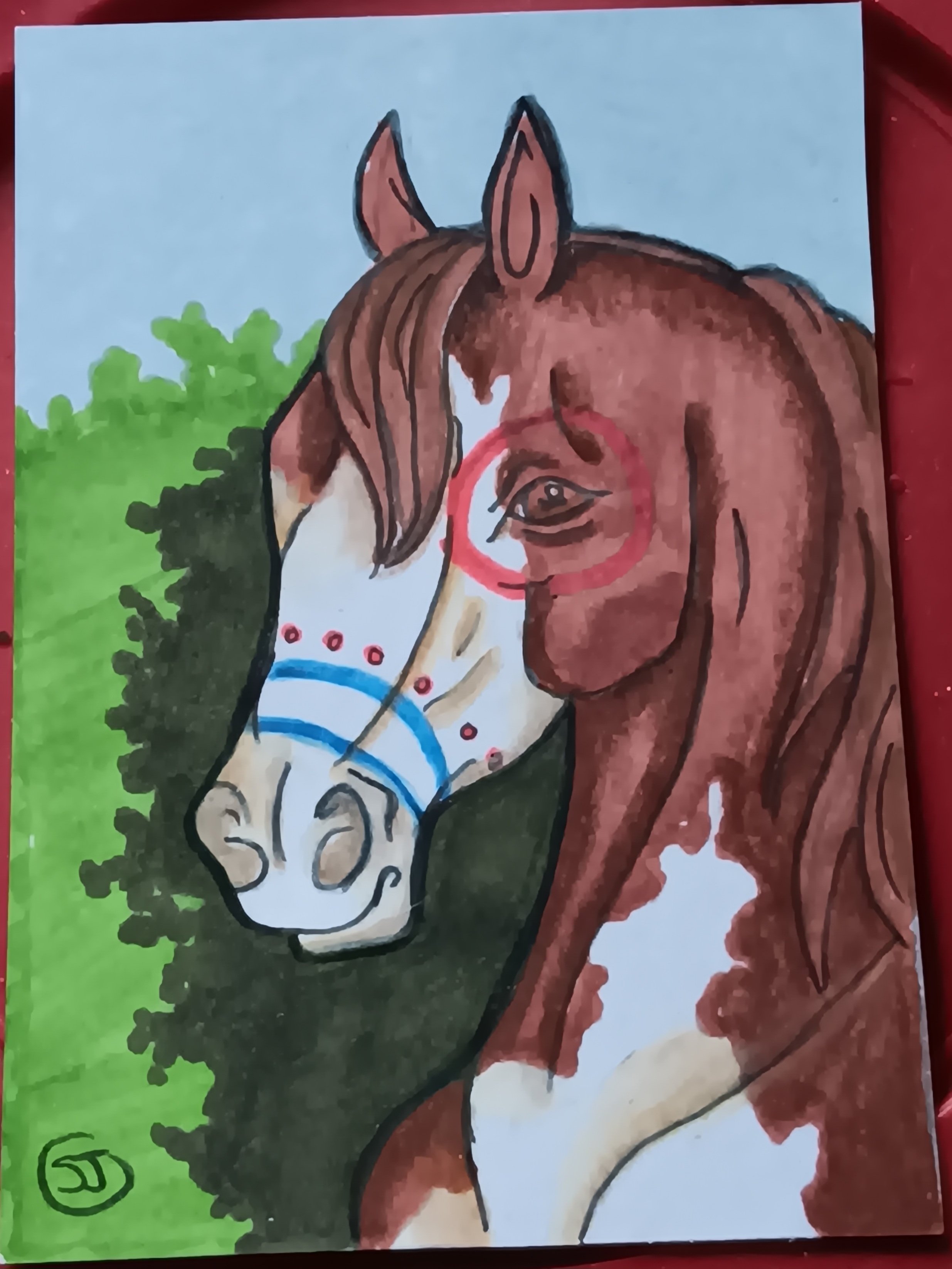 War Pony