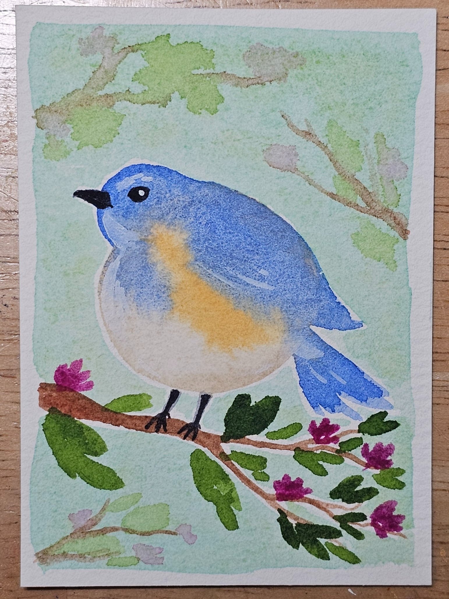 Warbler [Available]