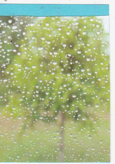 Water Water Everywhere Photo Swap