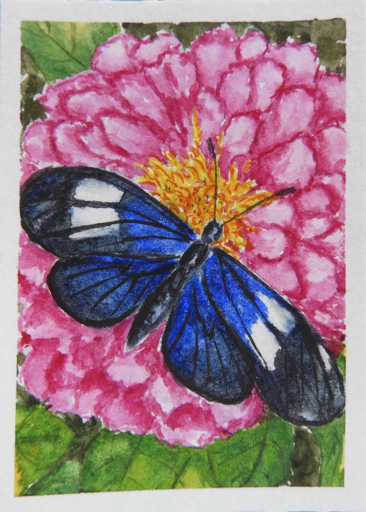 Watercolor butterfly