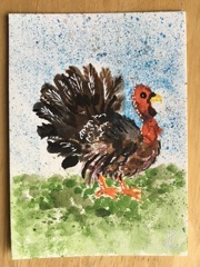 Watercolor Turkey