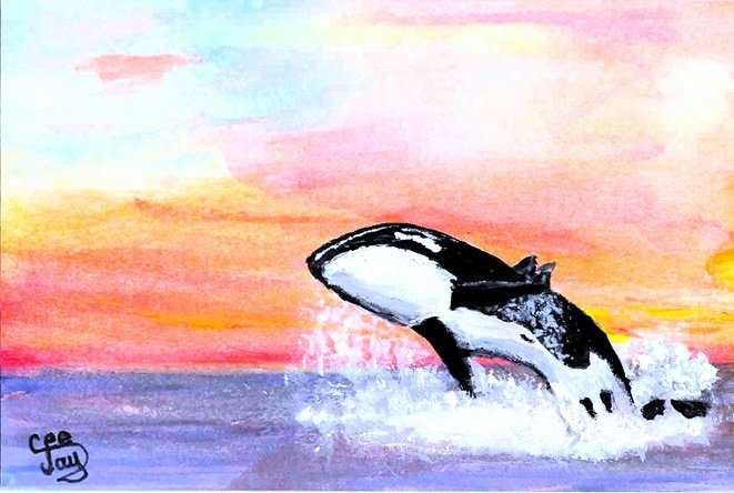 Whale of a Sunset 2026-04-27 001.jpg