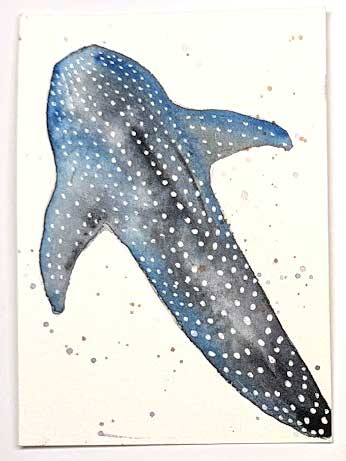 Whale Shark