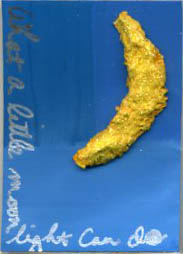 What a little moonlight can do