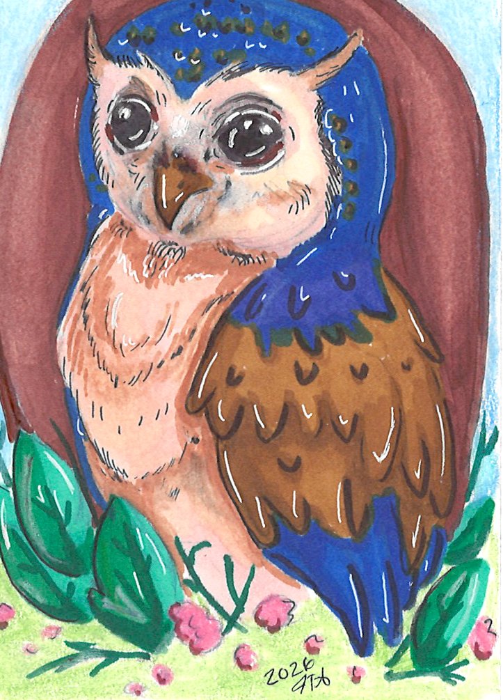 whimsical owl