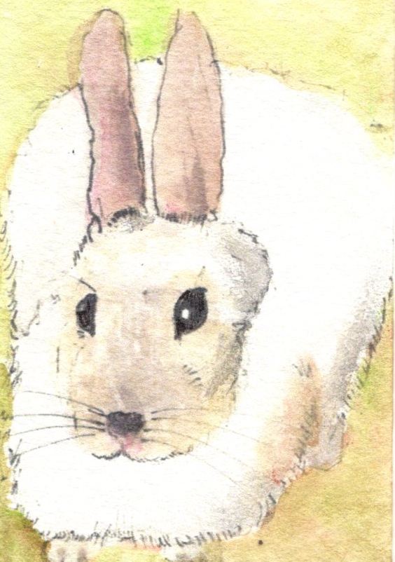 White Bunny