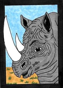 Whyno Rhino?