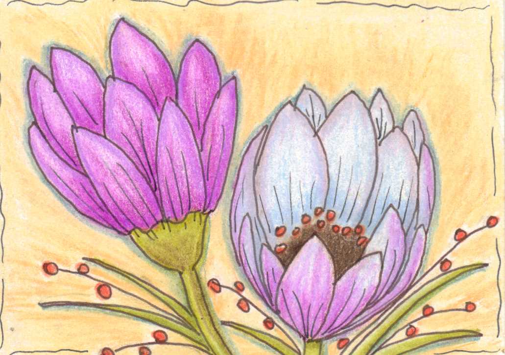 wildflowers too
