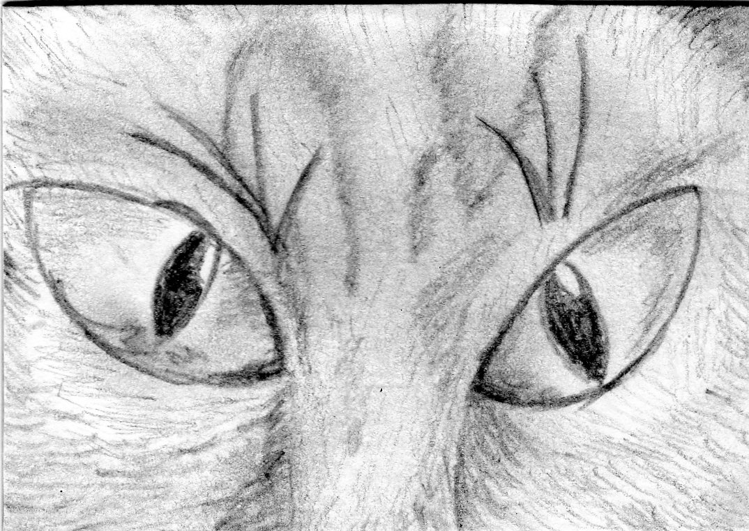 Windows to the soul........