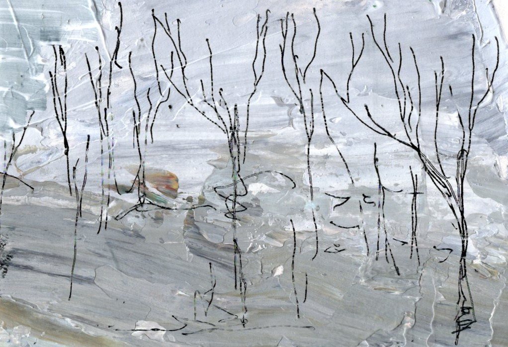 Winter Forest 5