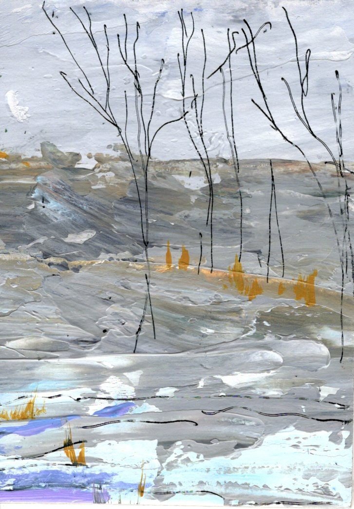 Winter Forest 7