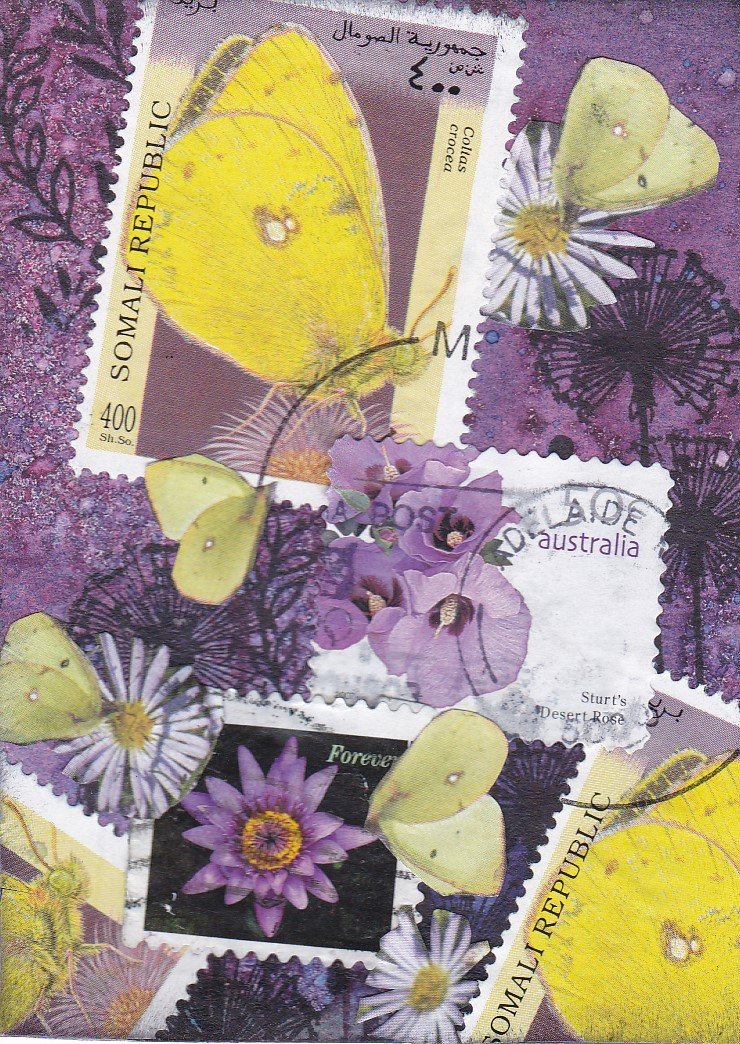 yellow butterflies on purple.jpg