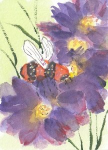 Beautiful Bee 01Seascape131